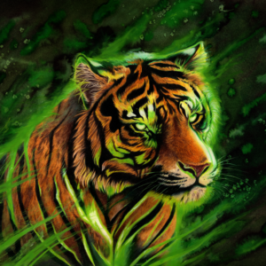 Tiger original